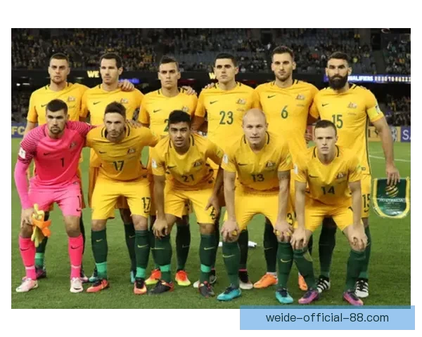 世界杯足球竞猜投注攻略 精准预测助你赢得丰厚奖金